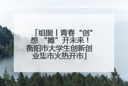 组图丨青春“创”想 “摊”开未来！衡阳市大学生创新创业集市火热开市
