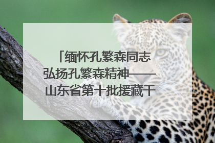 缅怀孔繁森同志 弘扬孔繁森精神——山东省第十批援藏干部人才清明节前到岗巴县开展党性教育