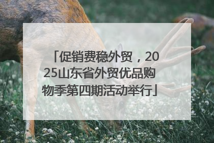 促销费稳外贸，2025山东省外贸优品购物季第四期活动举行