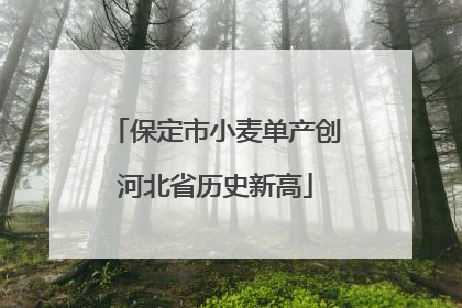 保定市小麦单产创河北省历史新高