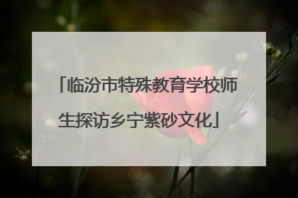 临汾市特殊教育学校师生探访乡宁紫砂文化