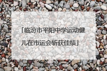 临汾市平阳中学运动健儿在市运会斩获佳绩