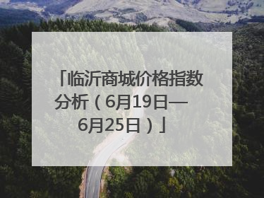 临沂商城价格指数分析（6月19日—6月25日）