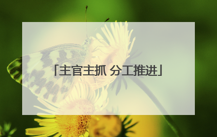 主官主抓 分工推进