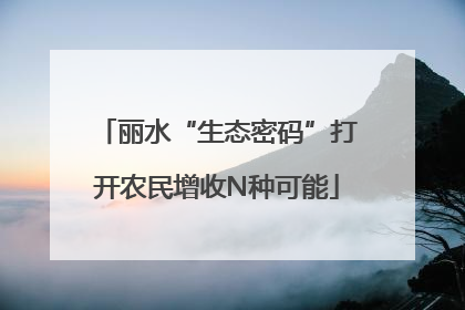 丽水“生态密码”打开农民增收N种可能