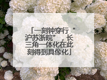一刻钟穿行“沪苏浙皖”，长三角一体化在此刻得到具像化