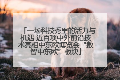 一场科技秀里的活力与机遇 近百项中外前沿技术亮相中东欧博览会“数智中东欧”板块
