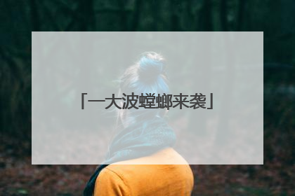 一大波螳螂来袭