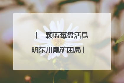 一颗蓝莓盘活昆明东川尾矿困局