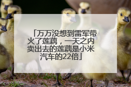 万万没想到雷军带火了莲藕，一天之内卖出去的莲藕是小米汽车的22倍
