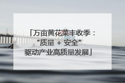 万亩黄花菜丰收季：“质量 + 安全” 驱动产业高质量发展