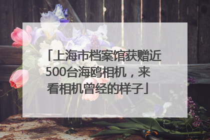 上海市档案馆获赠近500台海鸥相机,来看相机曾经的样子