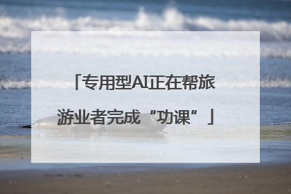 专用型AI正在帮旅游业者完成“功课”