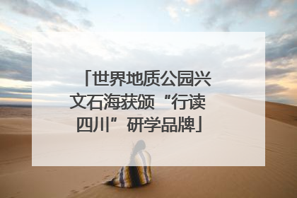 世界地质公园兴文石海获颁“行读四川”研学品牌