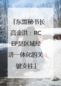 东盟秘书长高金洪：RCEP是区域经济一体化的关键支柱
