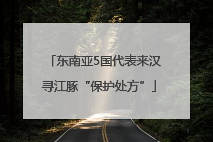 东南亚5国代表来汉寻江豚“保护处方”