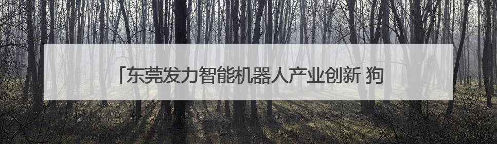 东莞发力智能机器人产业创新 狗熊机器人领跑低速无人驾驶赛道