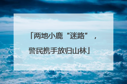 两地小鹿“迷路”，警民携手放归山林