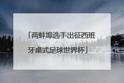 两蚌埠选手出征西班牙桌式足球世界杯