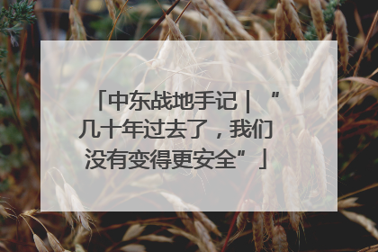 中东战地手记｜“几十年过去了，我们没有变得更安全”