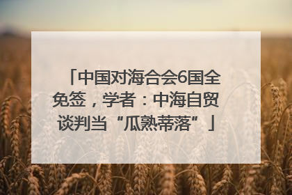 中国对海合会6国全免签，学者：中海自贸谈判当“瓜熟蒂落”