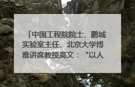 中国工程院院士、鹏城实验室主任、北京大学博雅讲席教授高文：“以人为本 智能向善” 推动文化与科技相生相促｜聚焦2025文化强国建设高峰论坛