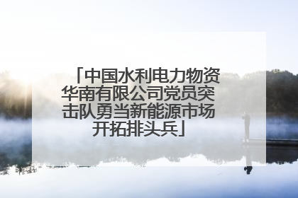 中国水利电力物资华南有限公司党员突击队勇当新能源市场开拓排头兵