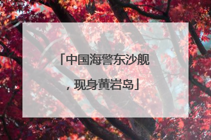中国海警东沙舰，现身黄岩岛