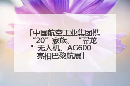中国航空工业集团携“20”家族、“翼龙”无人机、AG600亮相巴黎航展