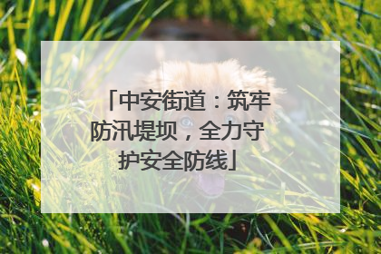 中安街道：筑牢防汛堤坝，全力守护安全防线