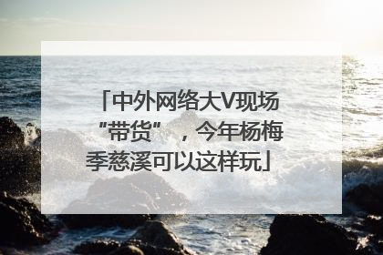 中外网络大V现场“带货”，今年杨梅季慈溪可以这样玩
