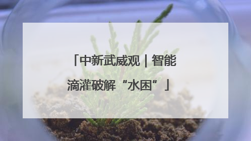 中新武威观｜智能滴灌破解“水困”