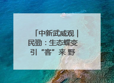 中新武威观｜民勤：生态蝶变引“客”来 野生动物乐逍遥
