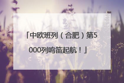 中欧班列（合肥）第5000列鸣笛起航！