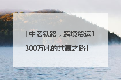 中老铁路，跨境货运1300万吨的共赢之路