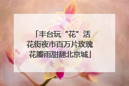 丰台玩“花”活 花街夜市百万片玫瑰花瓣雨甜翻北京城