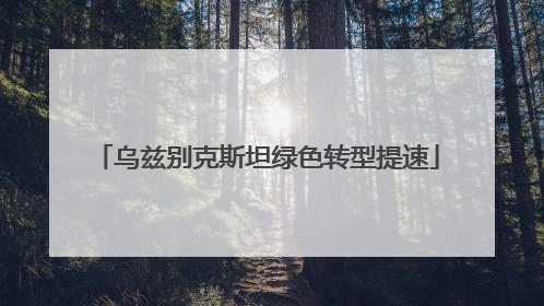 乌兹别克斯坦绿色转型提速
