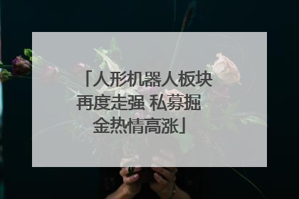 人形机器人板块再度走强 私募掘金热情高涨