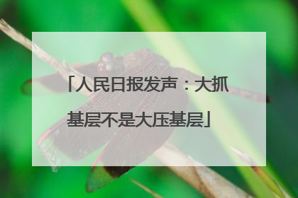 人民日报发声：大抓基层不是大压基层