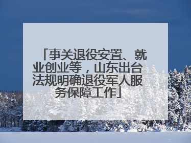 事关退役安置、就业创业等，山东出台法规明确退役军人服务保障工作