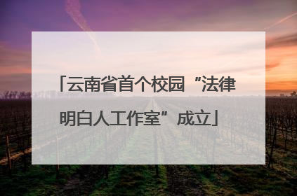 云南省首个校园“法律明白人工作室”成立