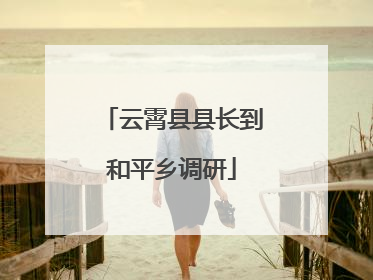 云霄县县长到和平乡调研