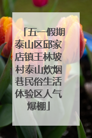 五一假期泰山区邱家店镇王林坡村泰山炊烟巷民俗生活体验区人气爆棚
