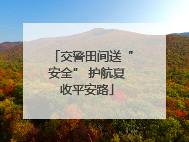 交警田间送“安全” 护航夏收平安路