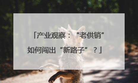 产业观察：“老供销”如何闯出“新路子”？