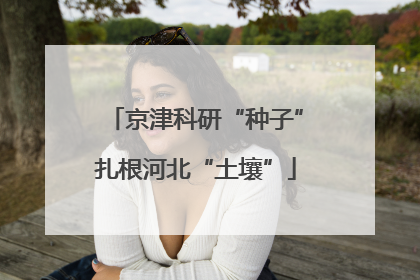 京津科研“种子”扎根河北“土壤”
