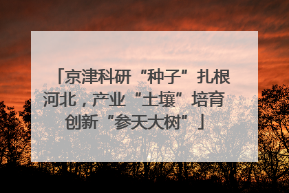 京津科研“种子”扎根河北，产业“土壤”培育创新“参天大树”