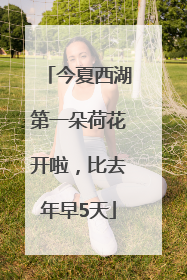 今夏西湖第一朵荷花开啦,比去年早5天