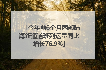 今年前6个月西部陆海新通道班列运量同比增长76.9%