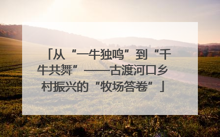 从“一牛独鸣”到“千牛共舞”——古渡河口乡村振兴的“牧场答卷”